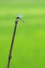 休息