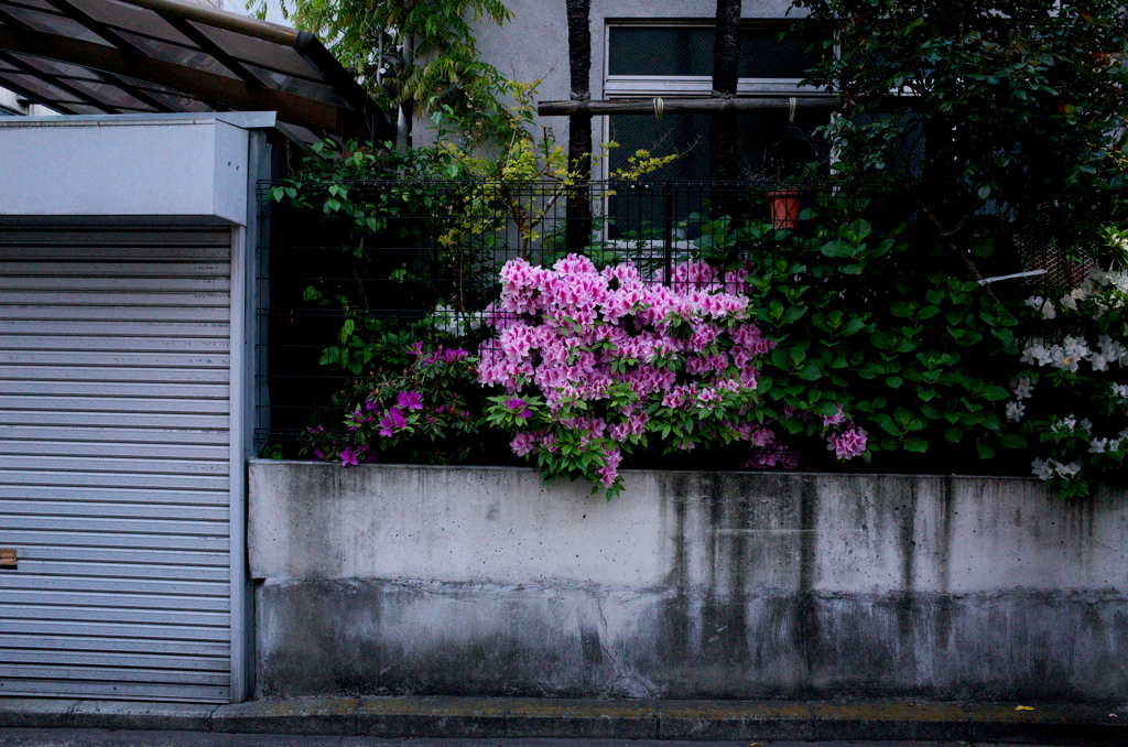 黄金町