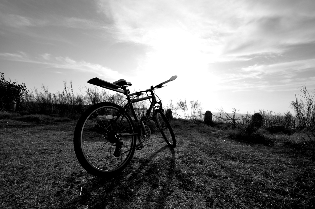 cycling