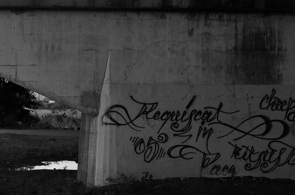 the Graffiti
