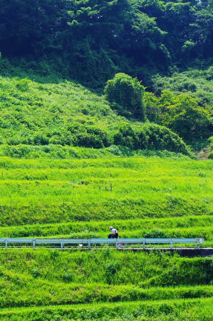千早赤阪村