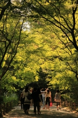 龍安寺林道