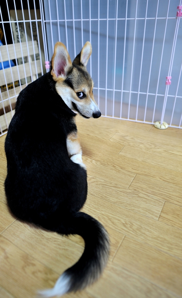 呼んだぁ？
