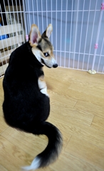 呼んだぁ？