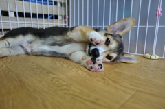 ここだけのはなし
