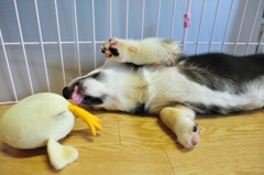 相打ち