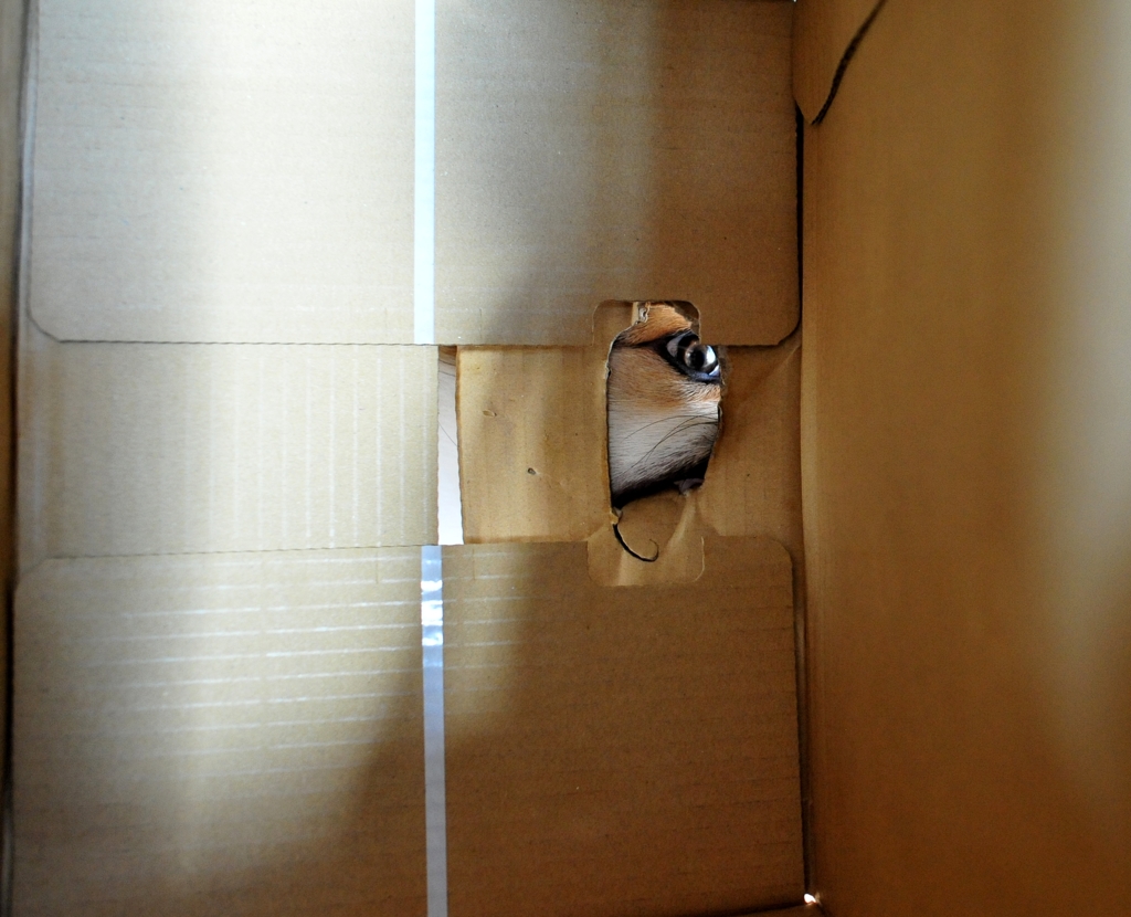 壁に目あり