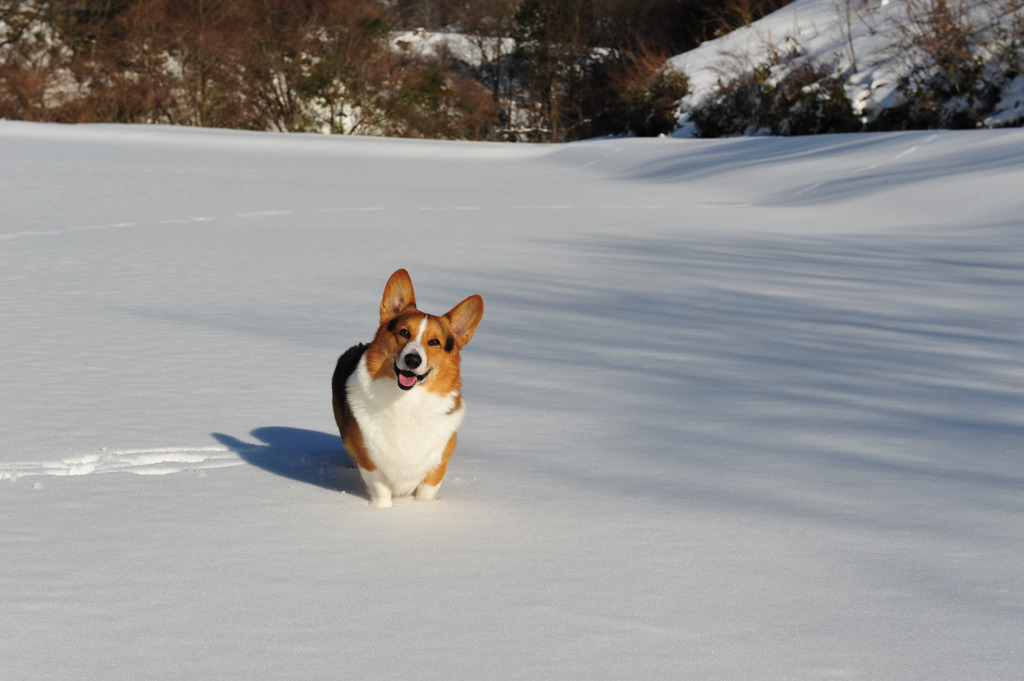 雪遊び