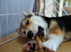 うひ～たまらん