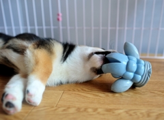 はさみうち