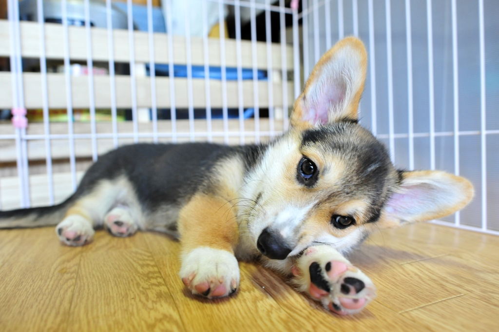 もう頰づえはつかない