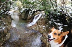 雪の渓流