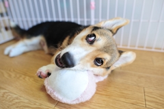 なんのことかなぁ～