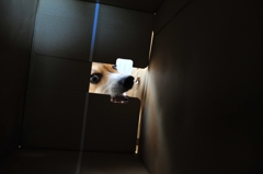 うが～