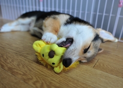 楽しいぃ