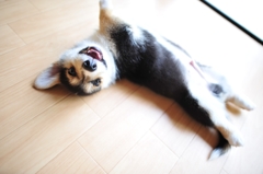 ふぃるた～