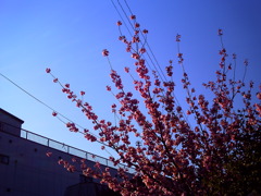 photo582600