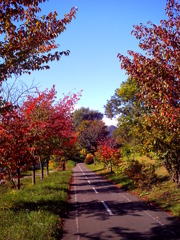 PICT0007