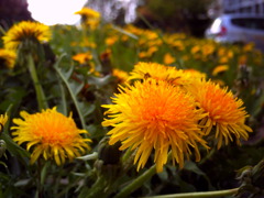 PICT0389