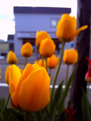 PICT0406