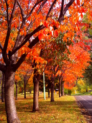 PICT0040