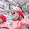 お地蔵様