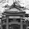 台湾