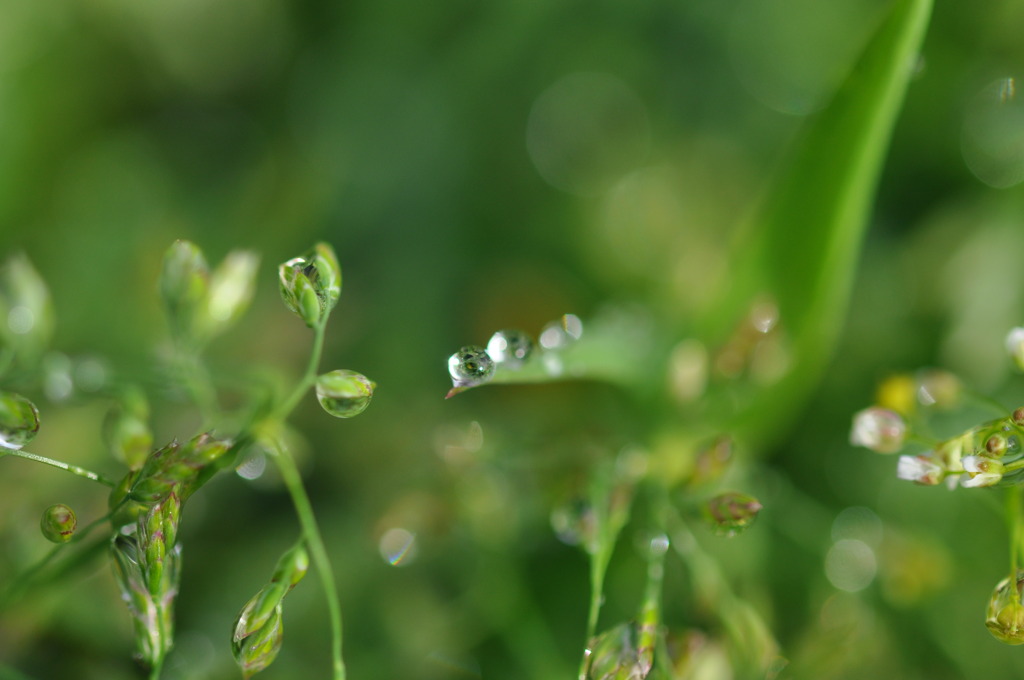 雫６