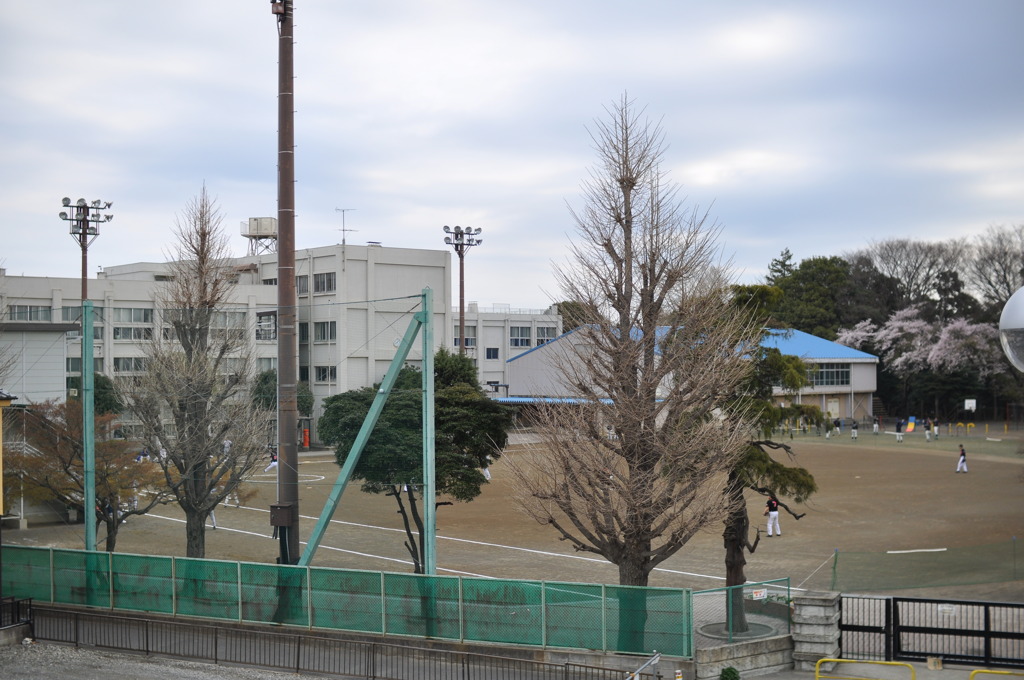 歩道橋の上から見た北大和小学校
