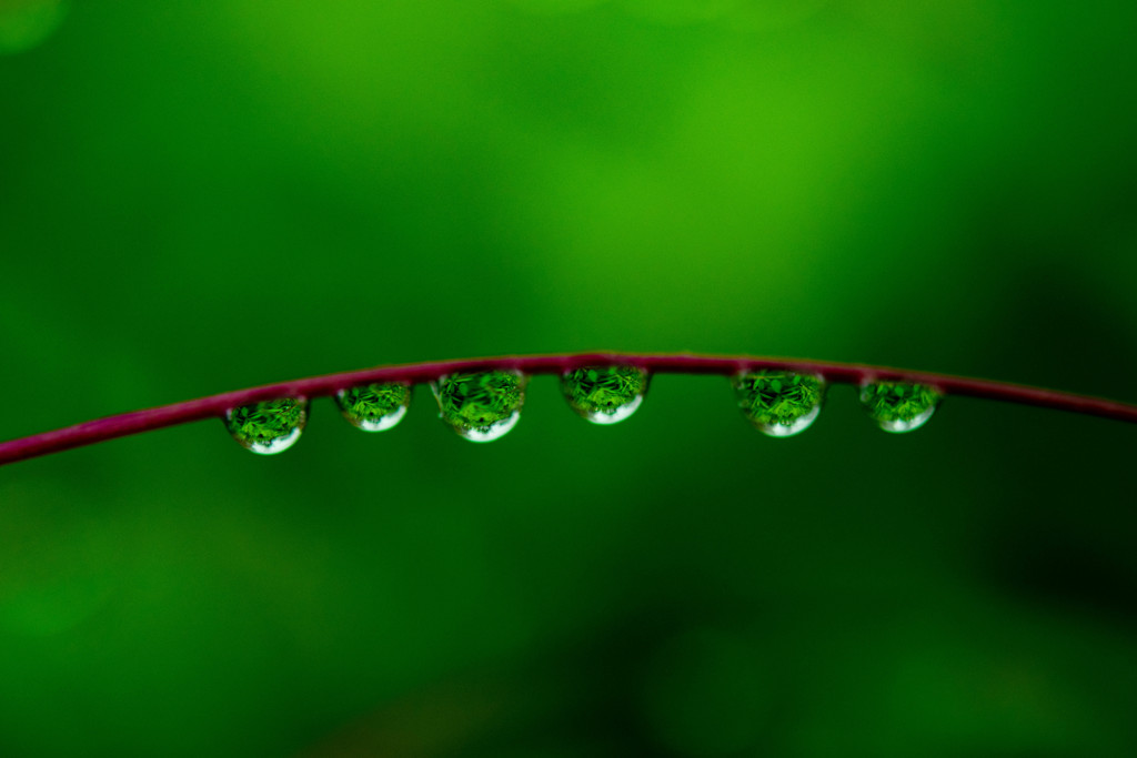 雨上がり