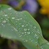 雫３