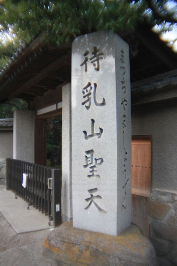 市中引き回しツアー　NO3 自作トイデジ風レンズ-1
