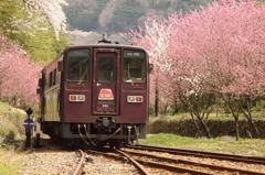 渡良瀬渓谷鉄道、列車通過
