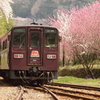 渡良瀬渓谷鉄道、列車通過