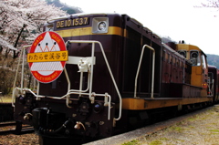 渡良瀬渓谷鉄道、トロッコ列車