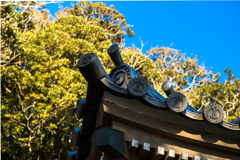 20170301test-a