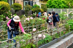 botanen