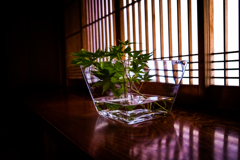 X-T20テストⅡ 
