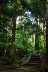 test4