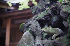 かくれんぼ