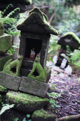 きつね