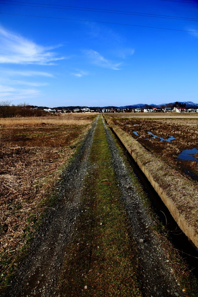 道