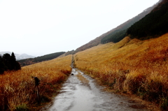 雨ニモマケズ