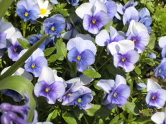PO20100327_0043