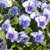 PO20100327_0043