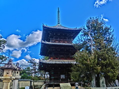 写真がたのしい