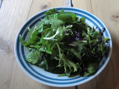 野菜サラダ