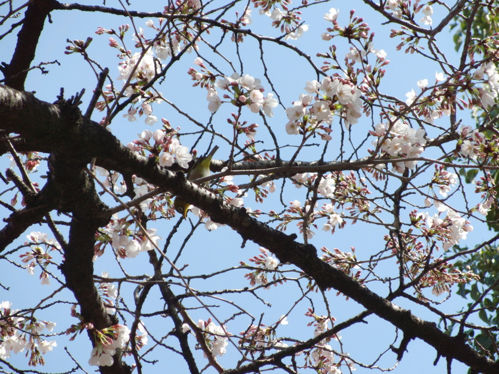 PO20100327_0174