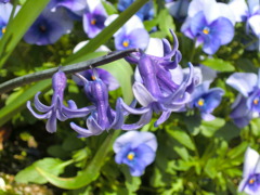 PO20100327_0044