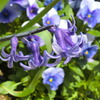 PO20100327_0044
